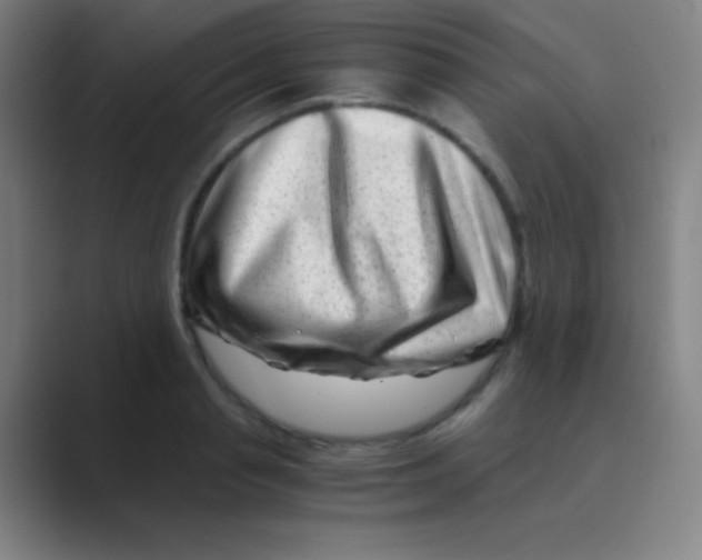 X0000088720845200706282102