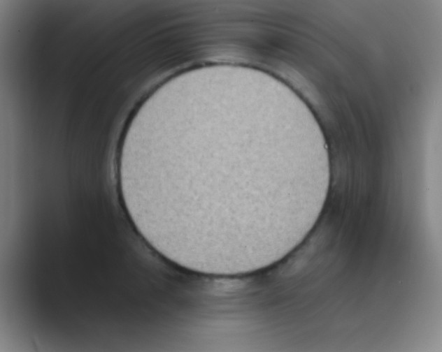 X0000088720848200706282102