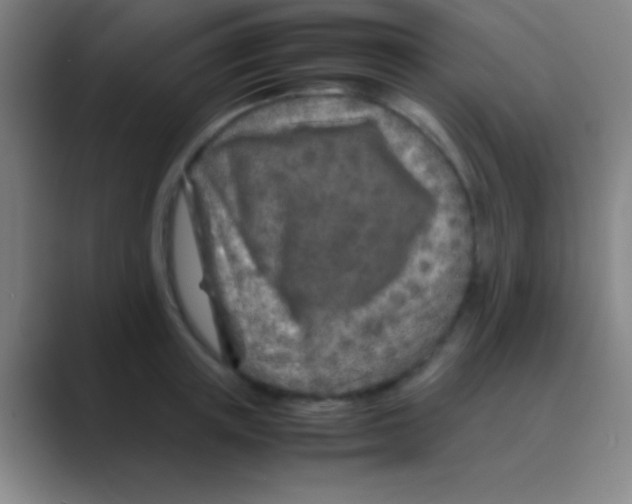 X0000088720851200706282102