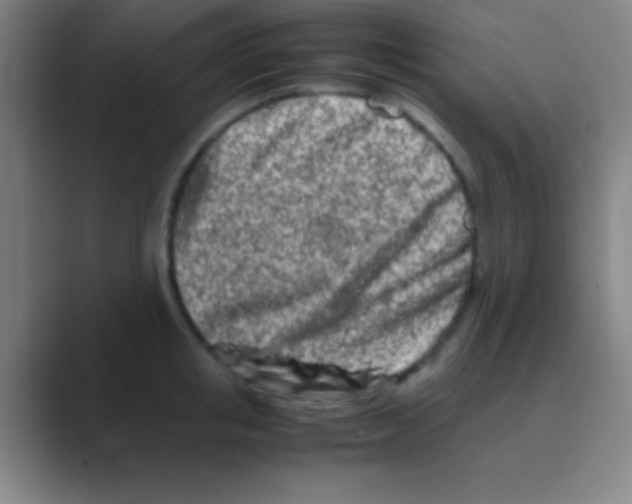 X0000088720853200706282102