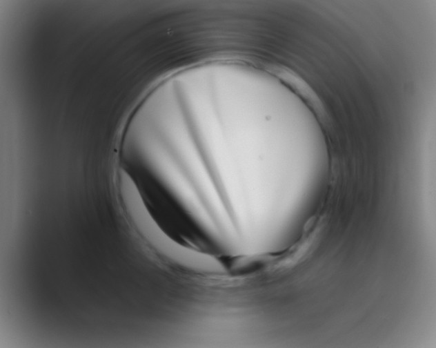 X0000088720860200706282102