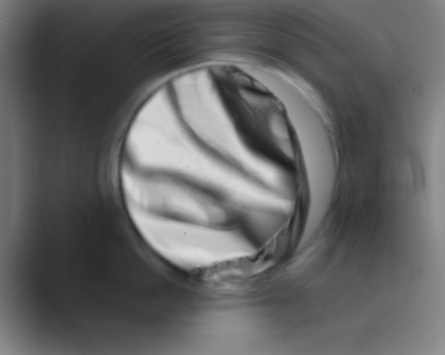 X0000088720862200706282102