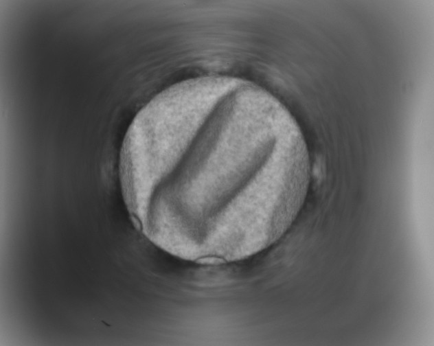 X0000088720867200706282101