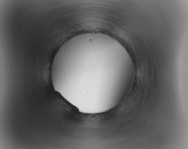 X0000088720868200706282101