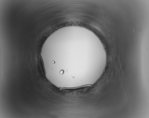 X0000088720869200706282101