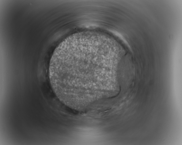 X0000088720871200706282101