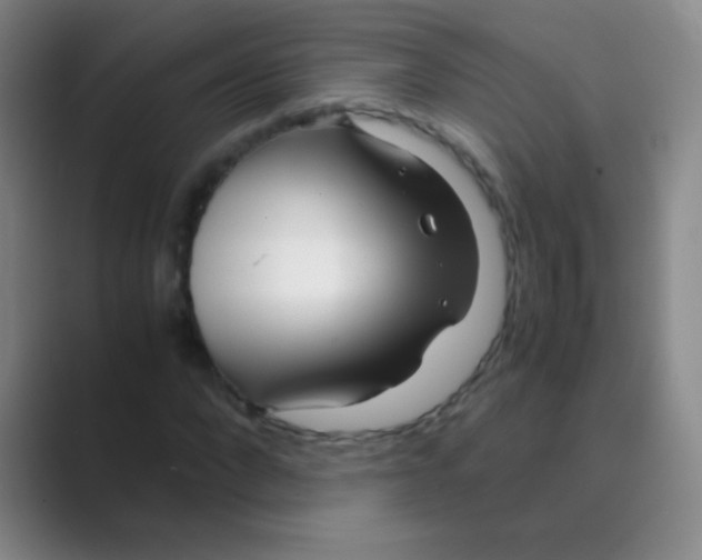 X0000088720872200706282101