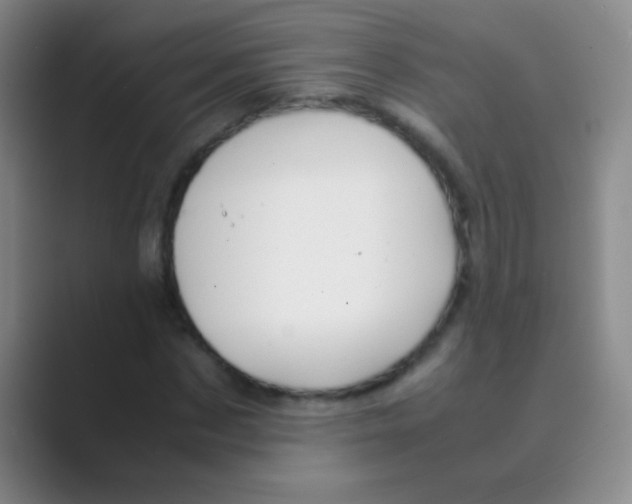 X0000088720873200706282101