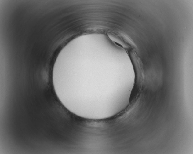 X0000088720874200706282101