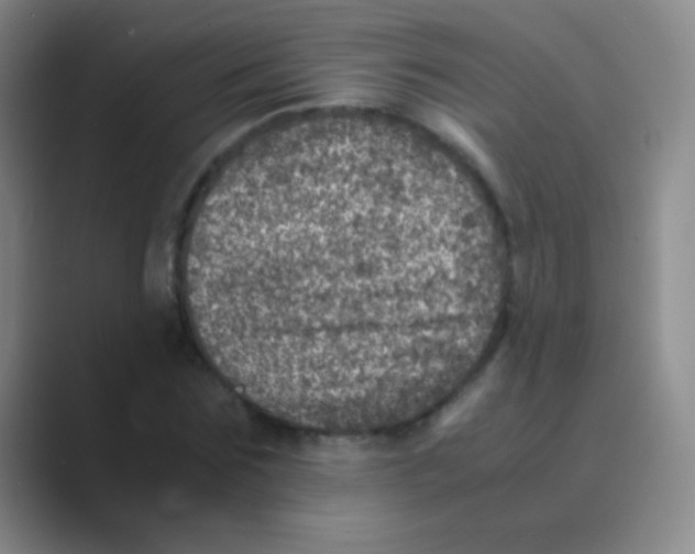 X0000088720875200706282101