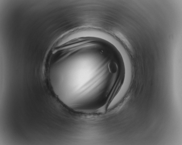 X0000088720876200706282101