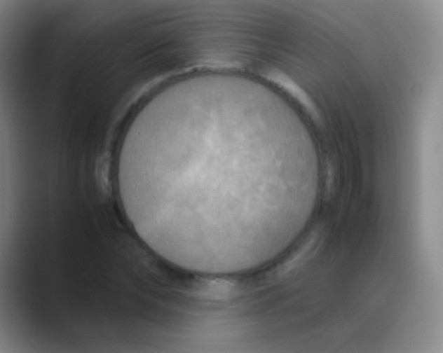 X0000088720878200706282101