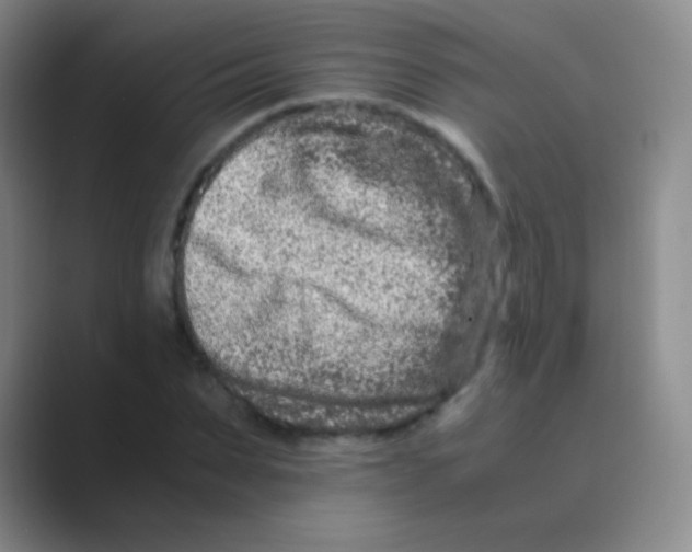 X0000088720879200706282101