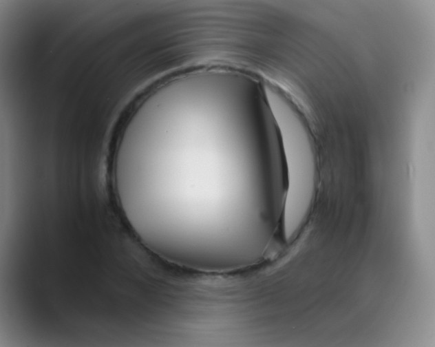 X0000088720880200706282101