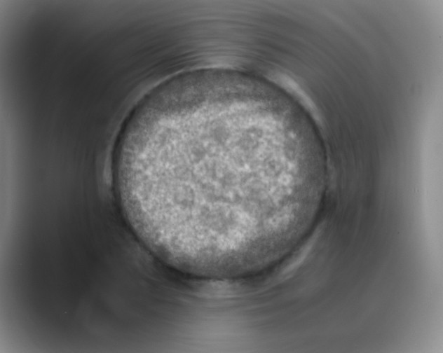 X0000088720883200706282101