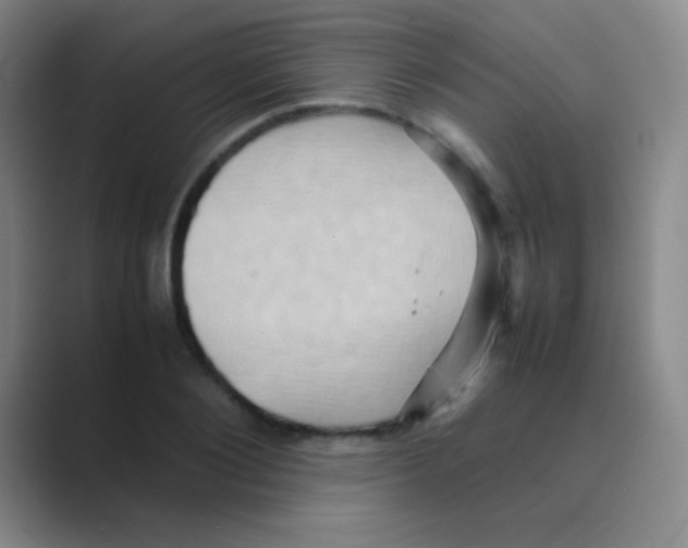 X0000088720884200706282101