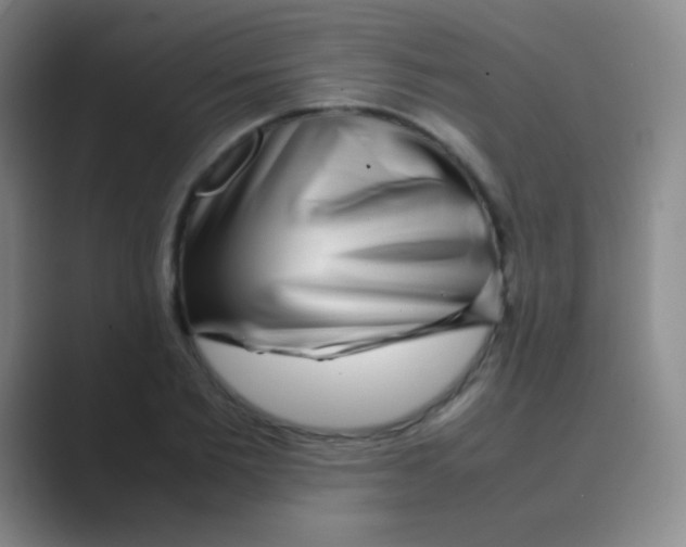 X0000088720885200706282101