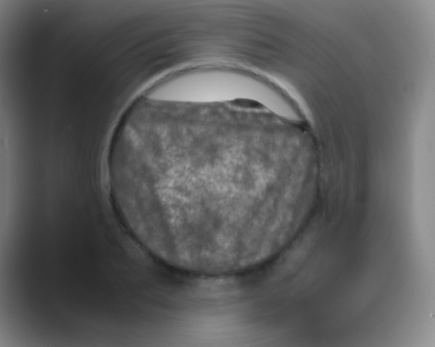 X0000088720887200706282101