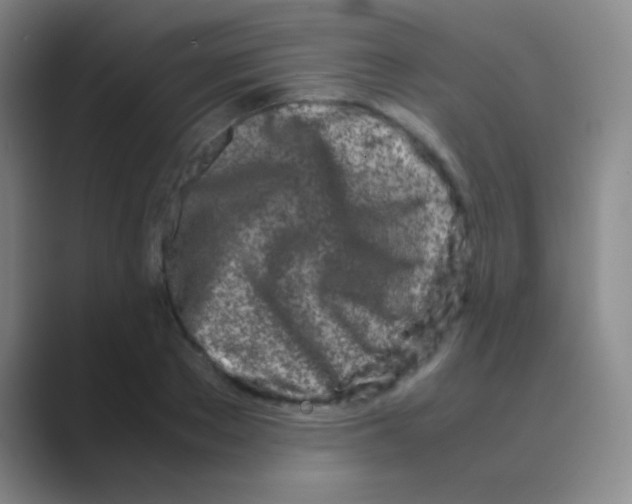 X0000088720889200706282101