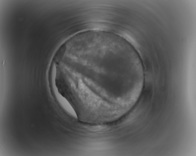 X0000088720891200706282101