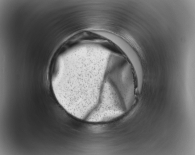 X0000088720892200706282101