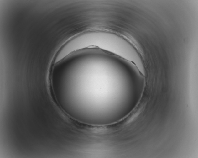 X0000088720893200706282101