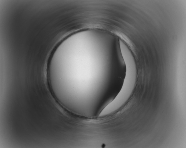 X0000088720894200706282101