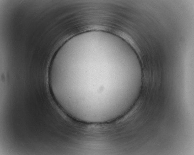 X0000088720898200706282101