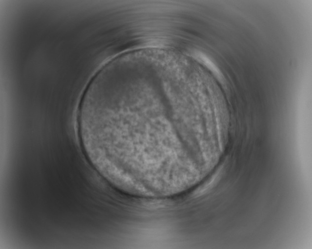 X0000088720899200706282101