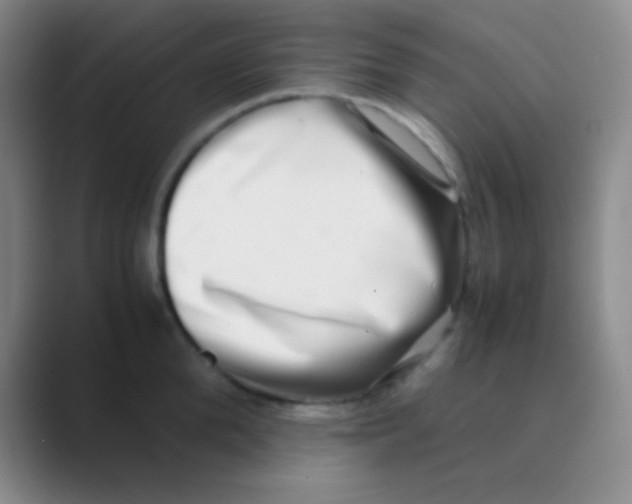 X0000088720904200706282101