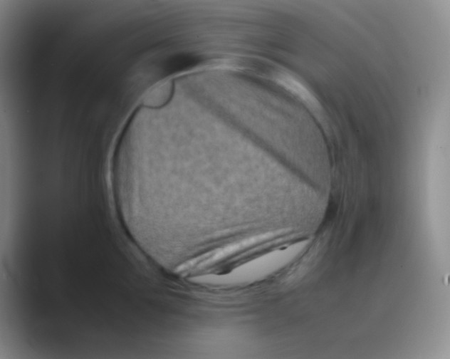 X0000088720907200706282101