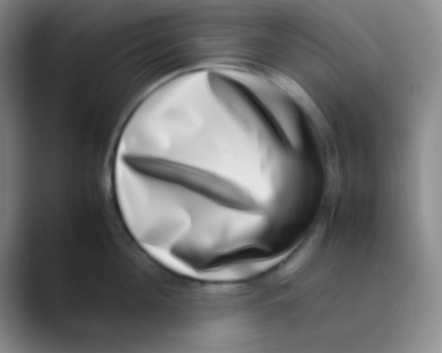 X0000088720908200706282101