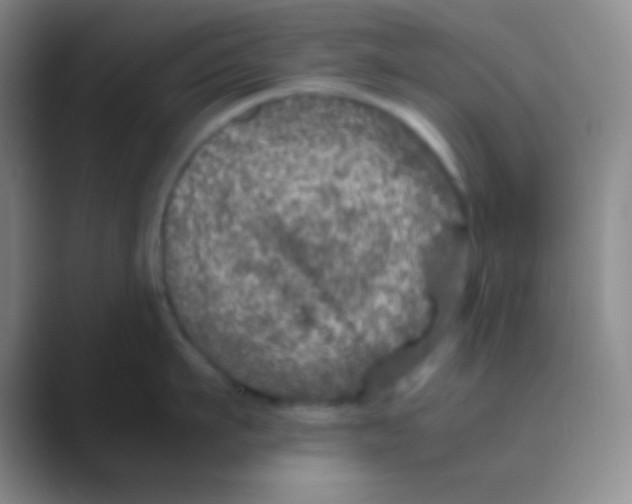 X0000088720911200706282101