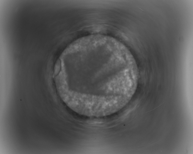 X0000088720913200706282100