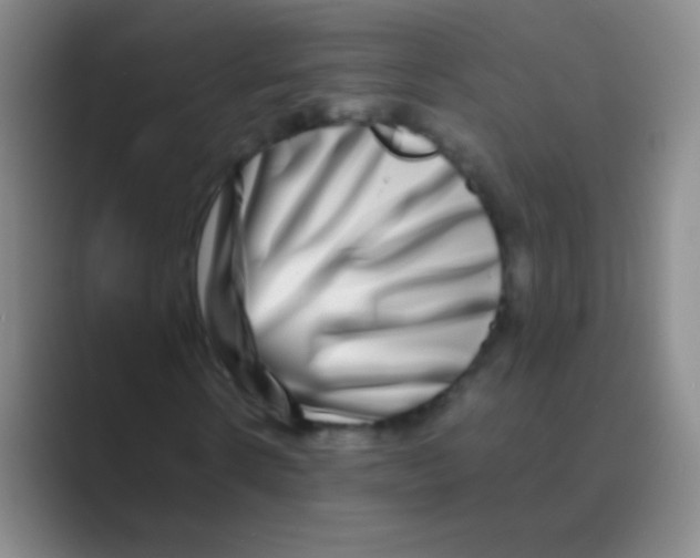 X0000088720914200706282100