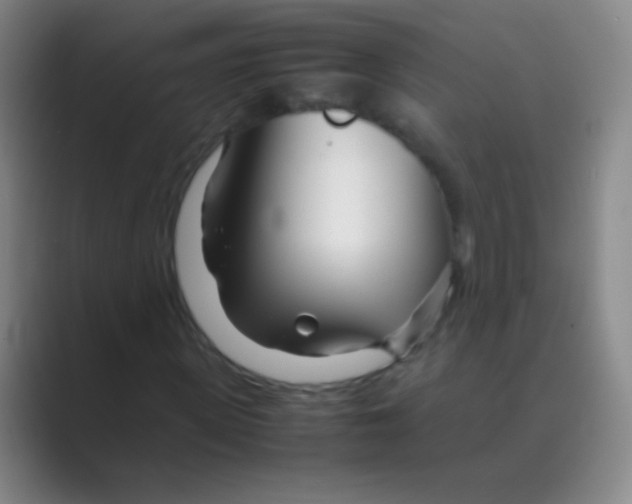 X0000088720915200706282100