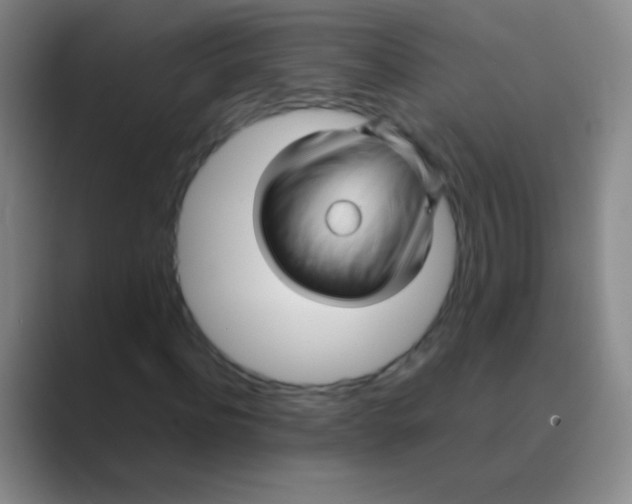 X0000088720916200706282100