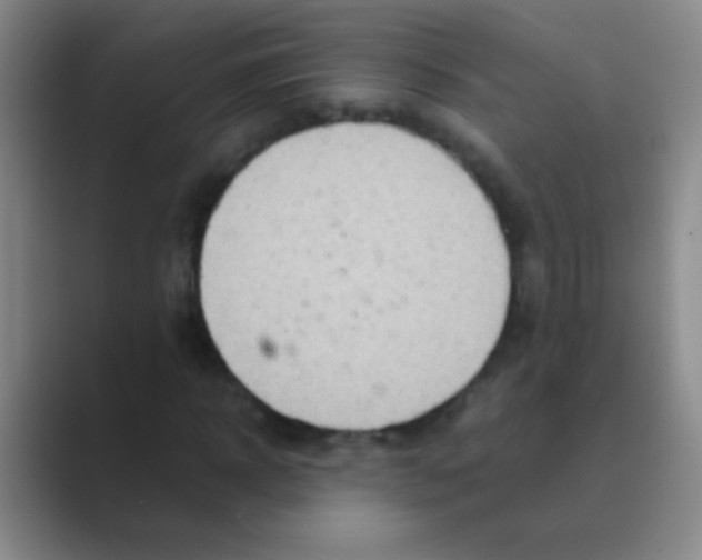 X0000088720918200706282100