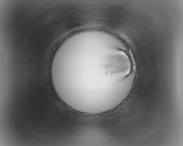 X0000088720920200706282100