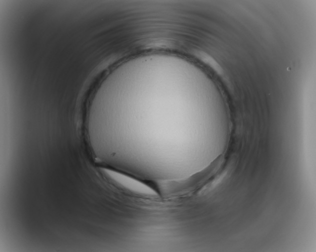 X0000088720922200706282100