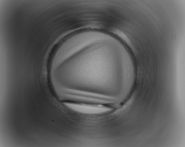 X0000088720923200706282100