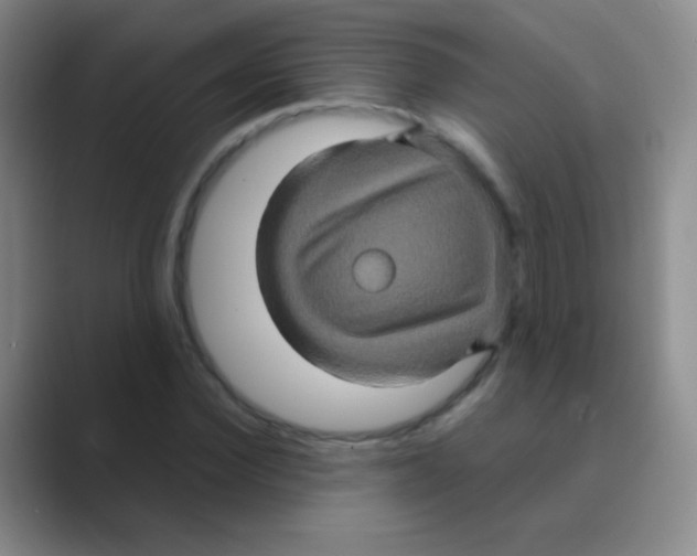 X0000088720924200706282100