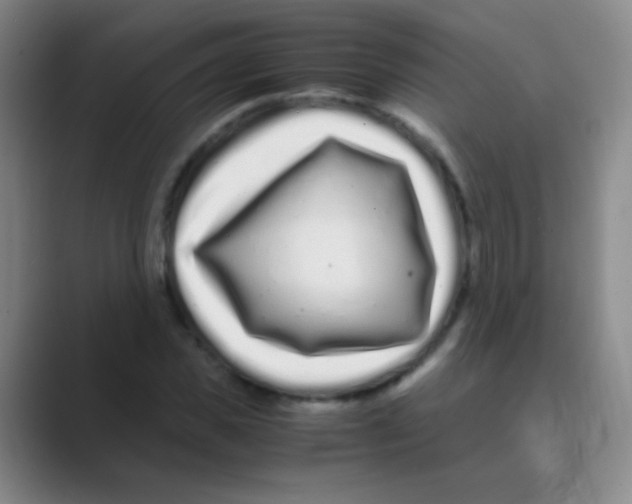 X0000088720925200706282100