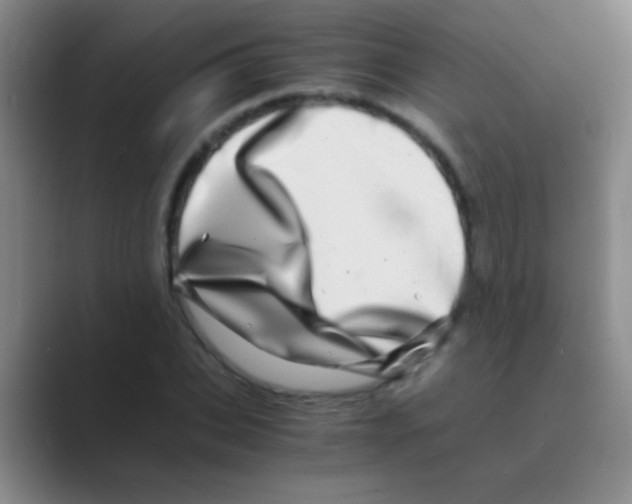 X0000088720927200706282100