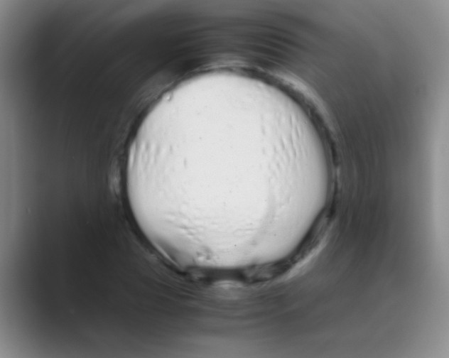 X0000088720929200706282100