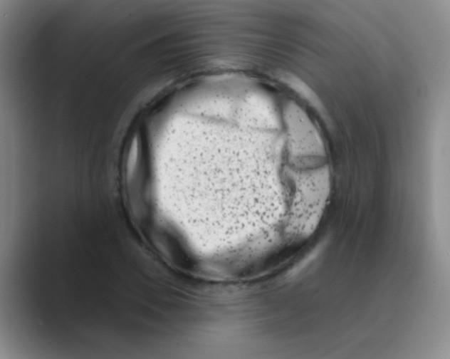 X0000088720930200706282100