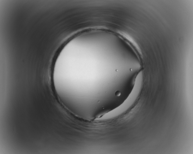 X0000088720935200706282100