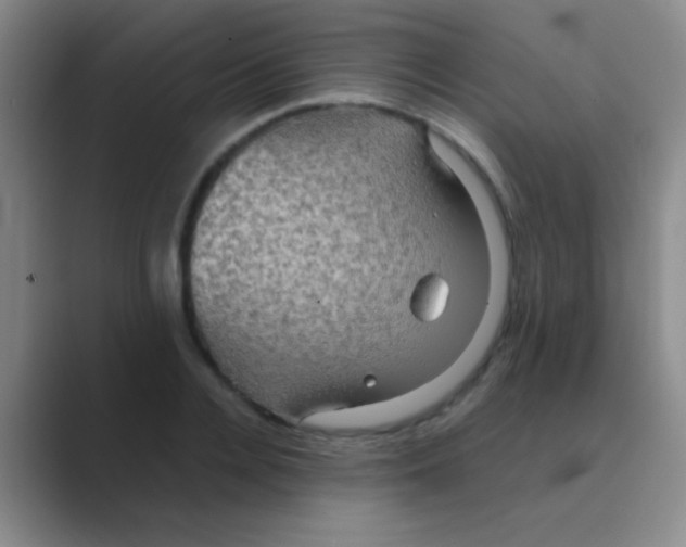 X0000088720936200706282100