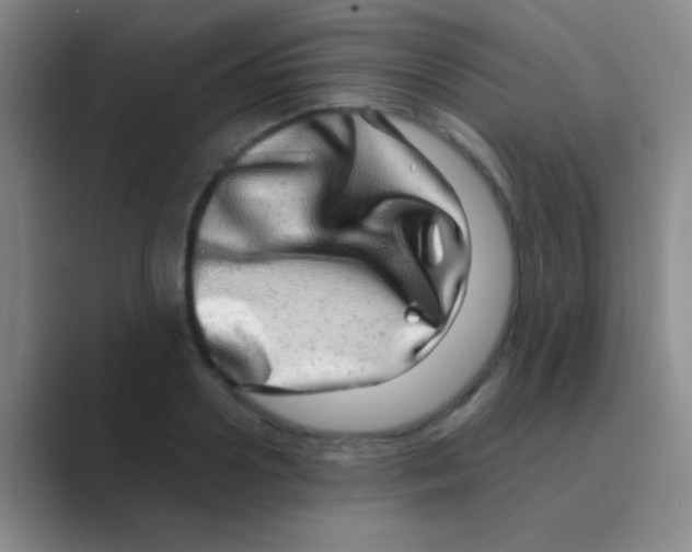 X0000088720938200706282101