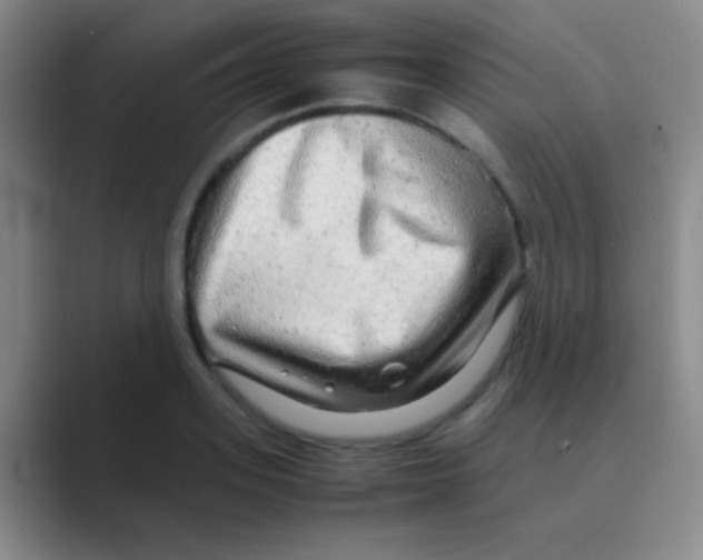 X0000088720939200706282101